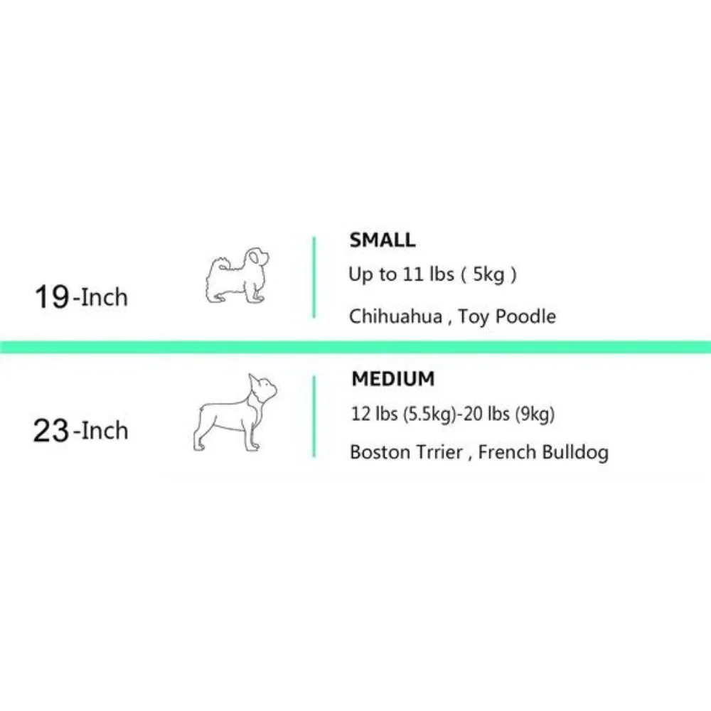 2-Door Top Load Hard Sided Dog and Cat Kennel Travel Carrier,23-Inch,Gray & Blue